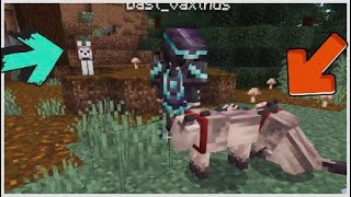 Cerchiamo i lupi che desideriamo - Minecraft - vanilla del duo #104