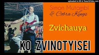 Simon Mutambi - Zvichauya (Ko Zvinotyisei album) 2009 pro