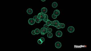 Houdini Mitosis 2017