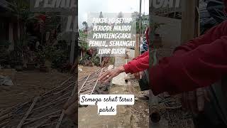 PAKDE LEGENDARIS DARI DESA BEJI PEJAWARAN BANJARNEGARA #petanimiliarder #petani #banjarnegara