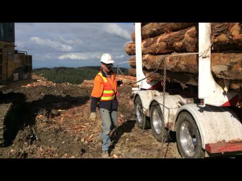 2015 WorkSafe Awards Winner - ANC Forestry Group, 'Safer logging systems'