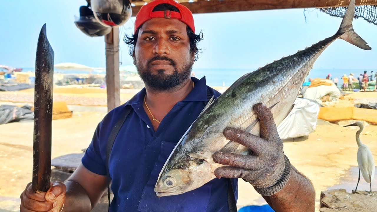 Rare Red Trevally Fish Cutting | Red Meat | Mr.Sampath