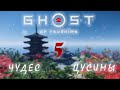 Ghost of tsushima (Призрак Цусимы) 5 красивейших локаций