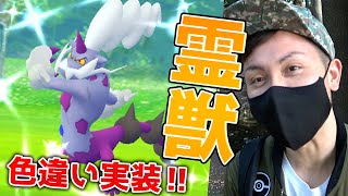 色違い霊獣ボルトロス実装 Cp91ね紫の色違いのシャイニー来い 6月に石川県いくよ ポケモンgo Youtube
