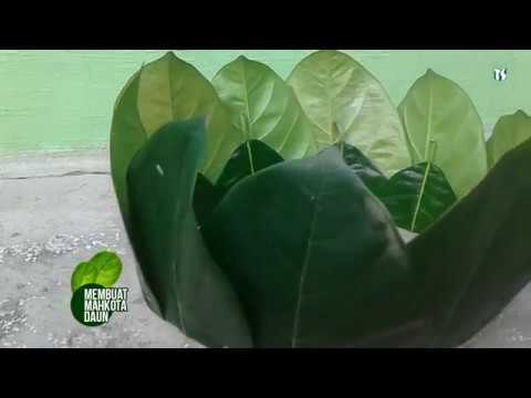 Video: Bagaimana anda membuat mahkota daun laurel?