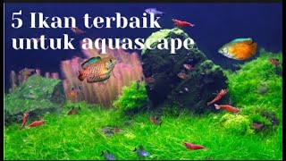 5 ikan terbaik untuk aquascape anda.