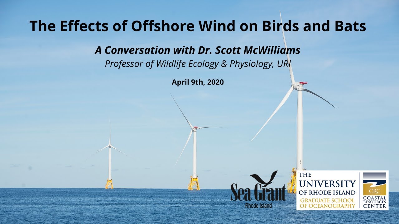 Wind turbines kill too many birds and bats. How can we…