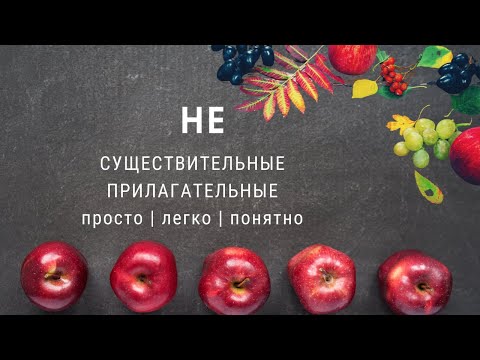 Правописание НЕ с существительными и прилагательными