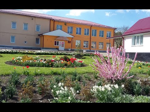 Онлайн-семинар «Комплексное психолого-педагогическое сопровождение обучающихся с ОВЗ», ноябрь 2020