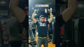 Body Transformation In 6 Months