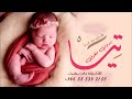 شيله مولوده باسم تيا 2024 بدون حقوق مجانيه طلت علا الدنيا قمرنا بالأنوار اغنية استقبال مولوده جد 