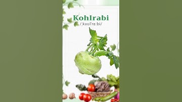 Vegetables vocabulary in English #englishvocabulary #learnenglish #vegetable