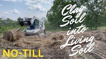 Het omzetten van kleigrond in zwart goud: hoe we een tuin zonder ploegen beginnen met hooimulch. ...