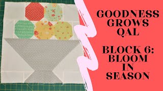 Sew Sampler Box Goodness Grows Qal Block 6 - Bloom In Season