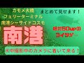 2023/1/2日！最新の大阪湾【水中動画】南港！！