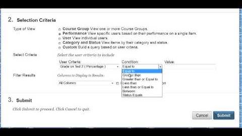 Blackboard 9.1.13: Create Performance Smart View