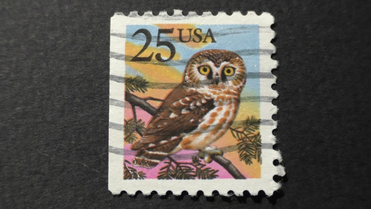 Postage stamp. USA. Owl on a spruce branch. Price 25 cents YouTube