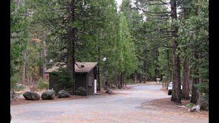 Kid Camp at Pinecrest Campground