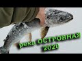 Река Островная 2020