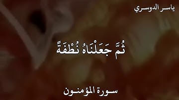 ياسر الدوسري سورة المؤمنون وَلَقَدْ خَلَقْنَا الْإِنْسَانَ مِنْ سُلَالَةٍ مِنْ طِينٍ