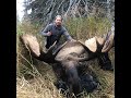 September 2021 - Alaska, Kenai moose. General season harvest ticket.