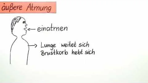 Was ist die innere Atmung einfach erklärt?