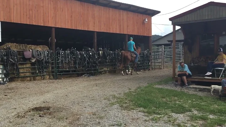 Sold 2148- sorrel QH gelding