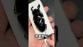 震えるクワガタ