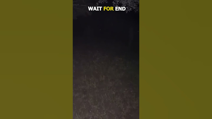 Put This In 0.3x 💀