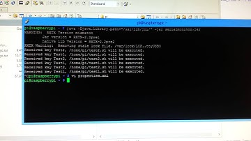 SerialMonitor running on Raspberry Pi