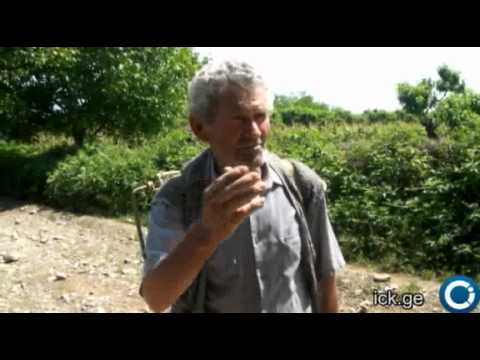 ალექსანდრე ოტიაშვილი