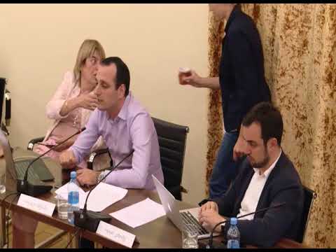დროებითი საგამოძიებო კომისიის სხდომა N19 -  III ნაწილი