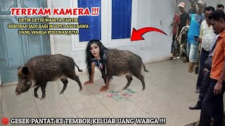 🔴 VIRAL !! DETIK-DETIK WANITA CANTIK BERUBAH JADI BABI NGEPET,SAAT MASUK RUMAH WARGA