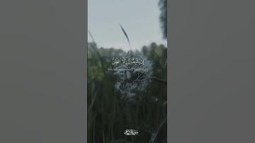 وإن تطع أكثر من في الأرض يضلوك عن سبيل الله  [ الأنعام: 116] القارئ ماهر المعيقلي