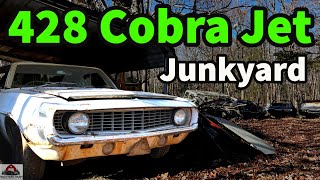 Exploring COBRA JET Junkyard! 1969 Camaro, 1970 Mustang MACH 1 | Barn Find