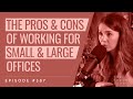 387  pros and cons of working for small and large architecture offices