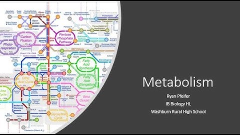 Metabolism & Metabolic Pathways