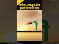 Mandi Bhav: पपीता, हल्दी और लहसुन के आज के ताजा मंडी भाव #ytshorts