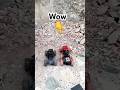 two best rc rock and monster climbing #shorts #climbing #minicar #rock #monster
