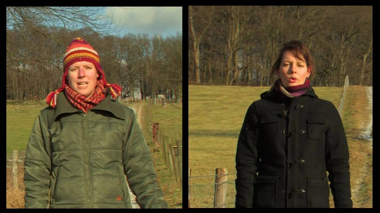klimaatverandering in afrikaans Carmen in het groen
