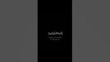 فاستقم كما أمرت - #أحمد_البشر #كروما #سورة_هود #حالة_واتس