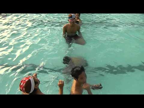 turtle float