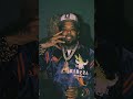 Westside Gunn Type Beat "My Soul" #westsidegunn #typebeat #shorts