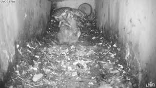 Die Heeft De Buik Nu Wel Vol Ja.