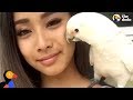 Rescue Cockatoo Loves Sunbathing and Dancing With Mom | The Dodo