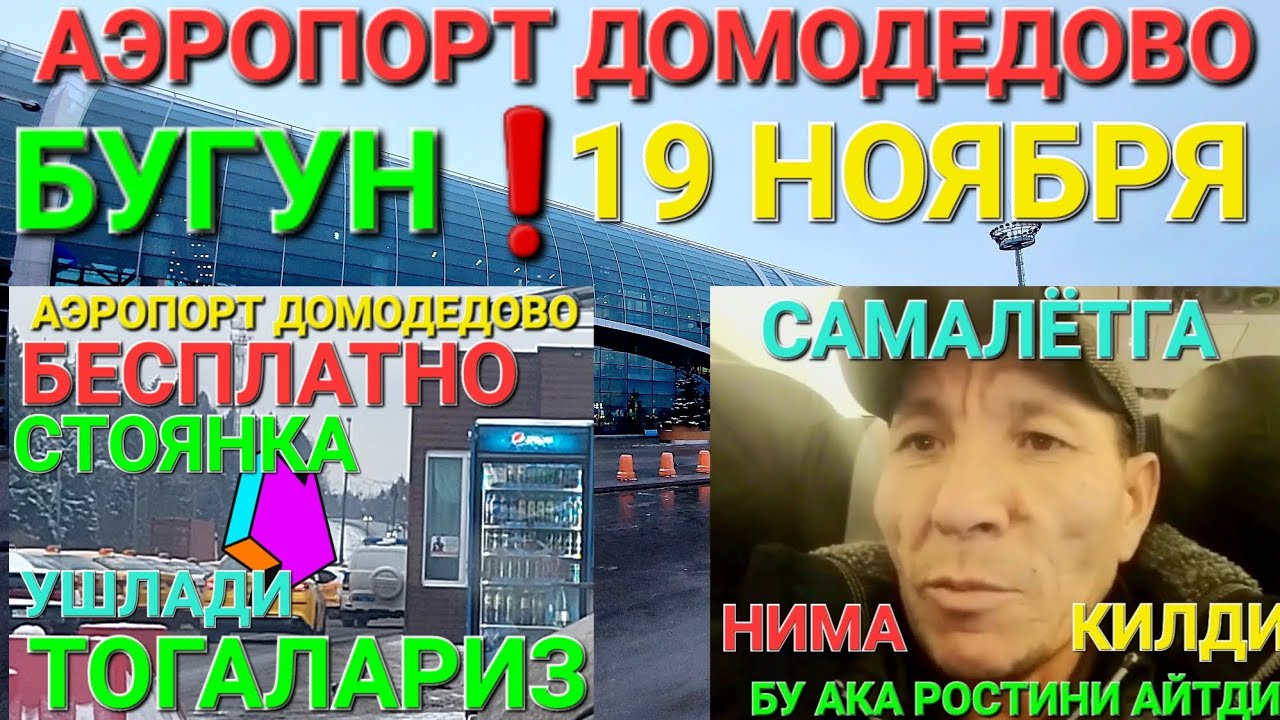 АЭРОПОРТ ДОМОДЕДОВО БУГУН ️БУ АКА САМАЛЁТГА ЧИКИБ ОЛИБ СИРНИ ОЧИБ ...