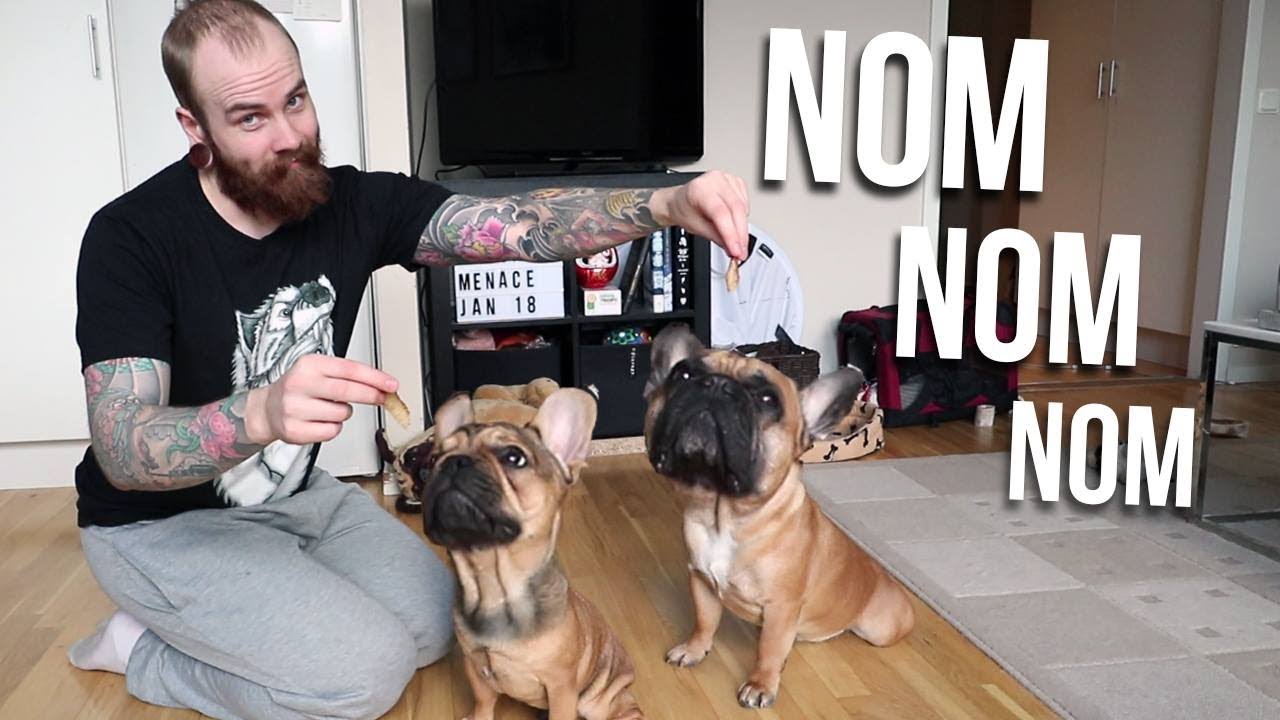 Quick n' Easy DIY Dog Treats for My Frenchies YouTube