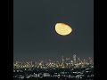 Moonrise Moonrise