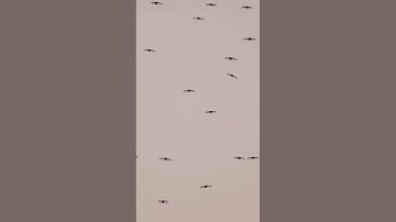 Breaking: Anduril’s Pulsar-L brings portable electromagnetic warfare to drone defense