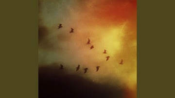 Behind the Achievement